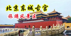 超刺激捏胸揉屁股网站站长工具中国北京-东城古宫旅游风景区